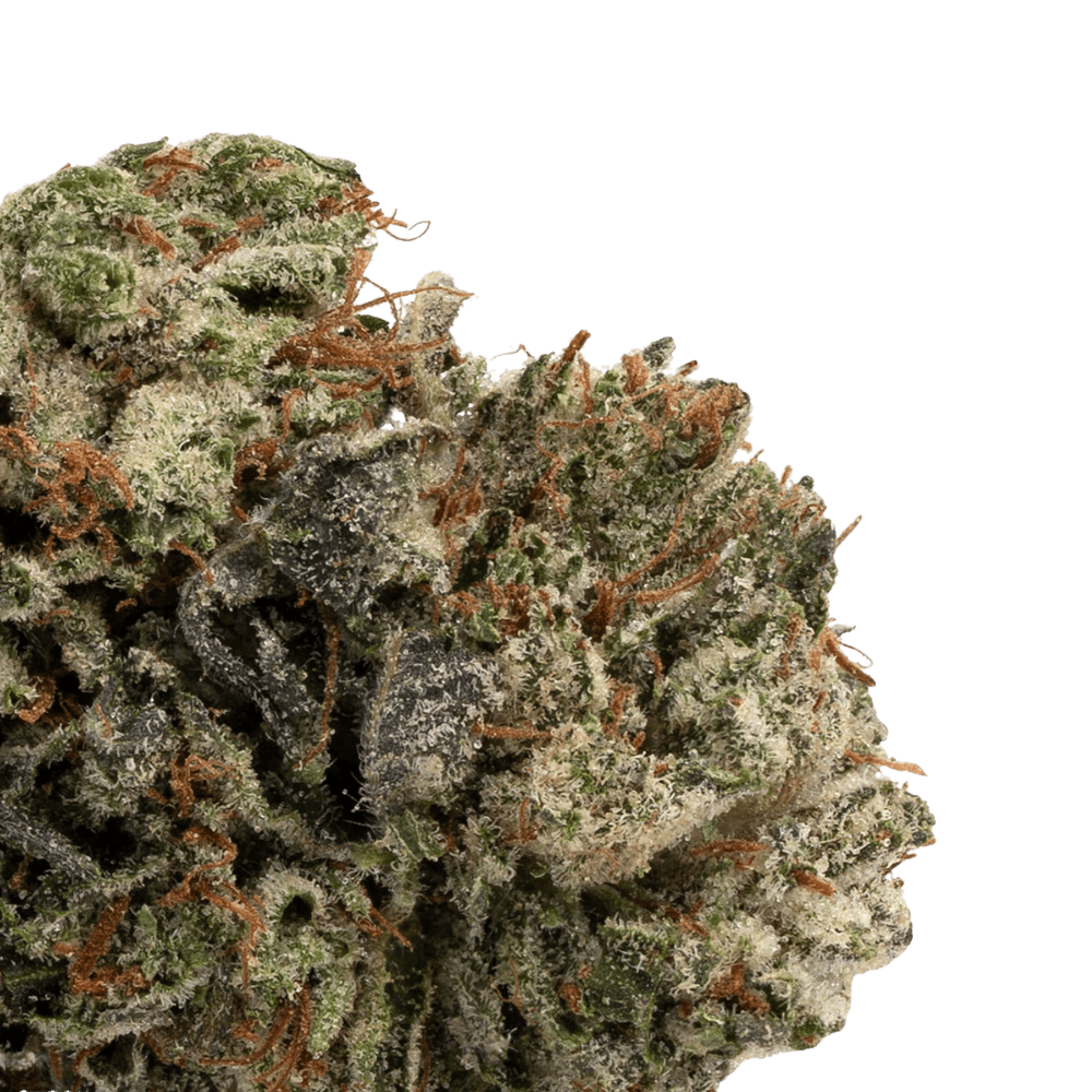 tuna kush