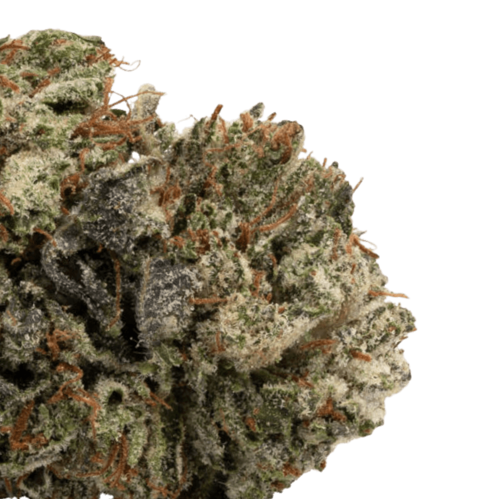 buy gorilla glue #4 online