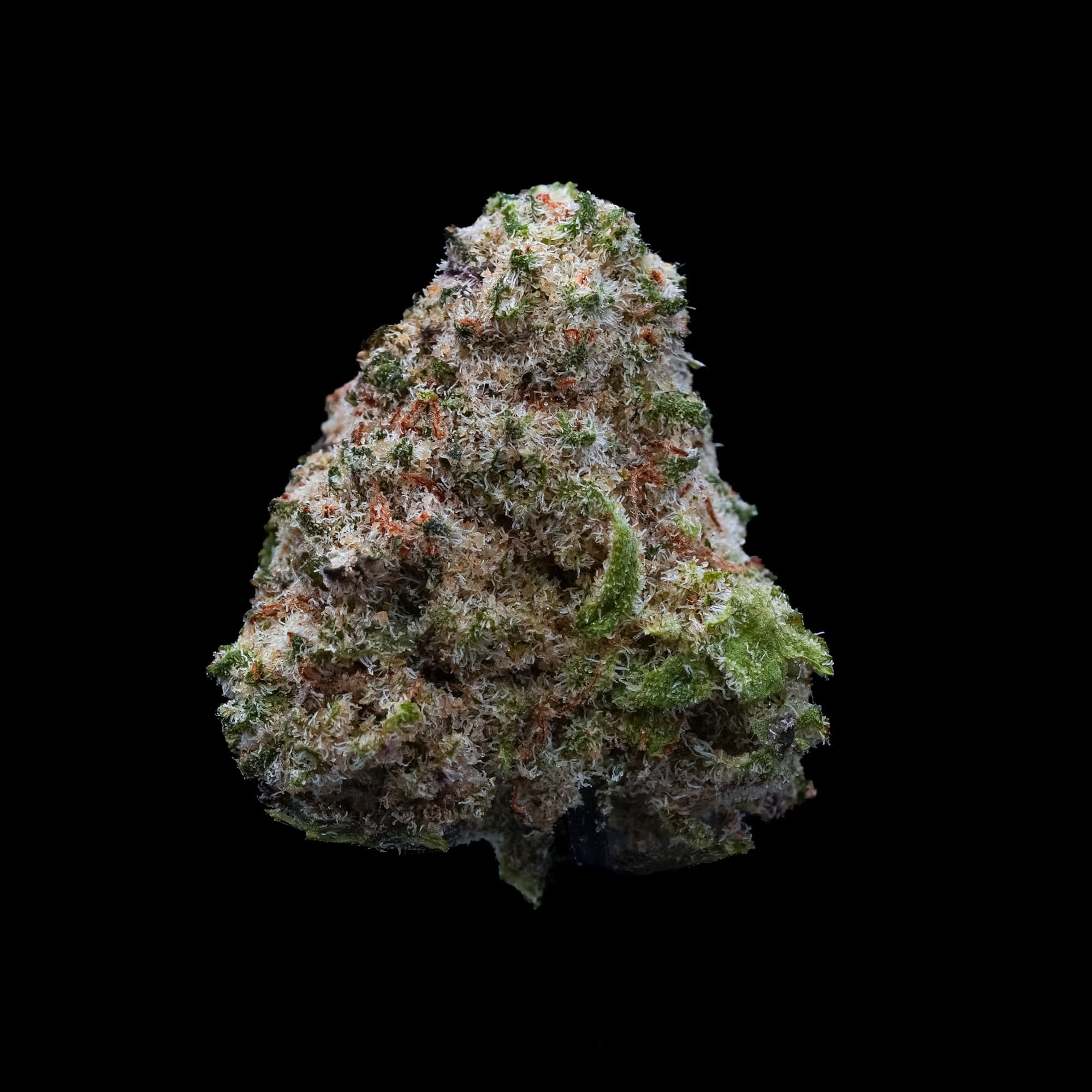 northern lights popcorn