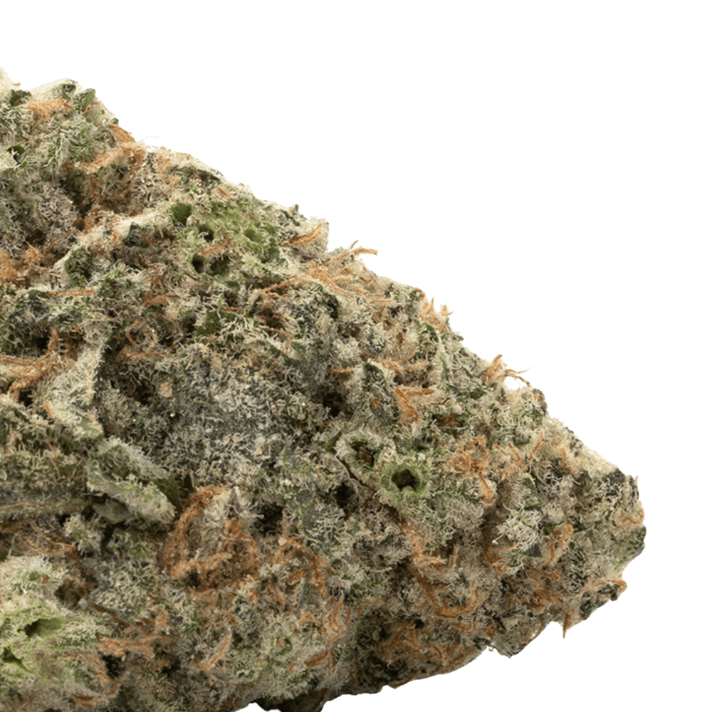 Alaskan Thunder Fuck