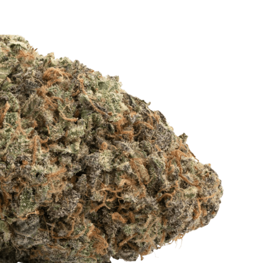 Gods Green Crack