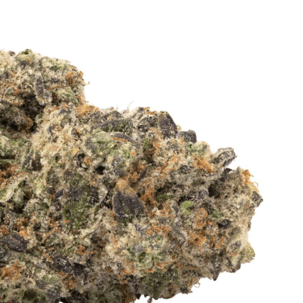 MK Ultra