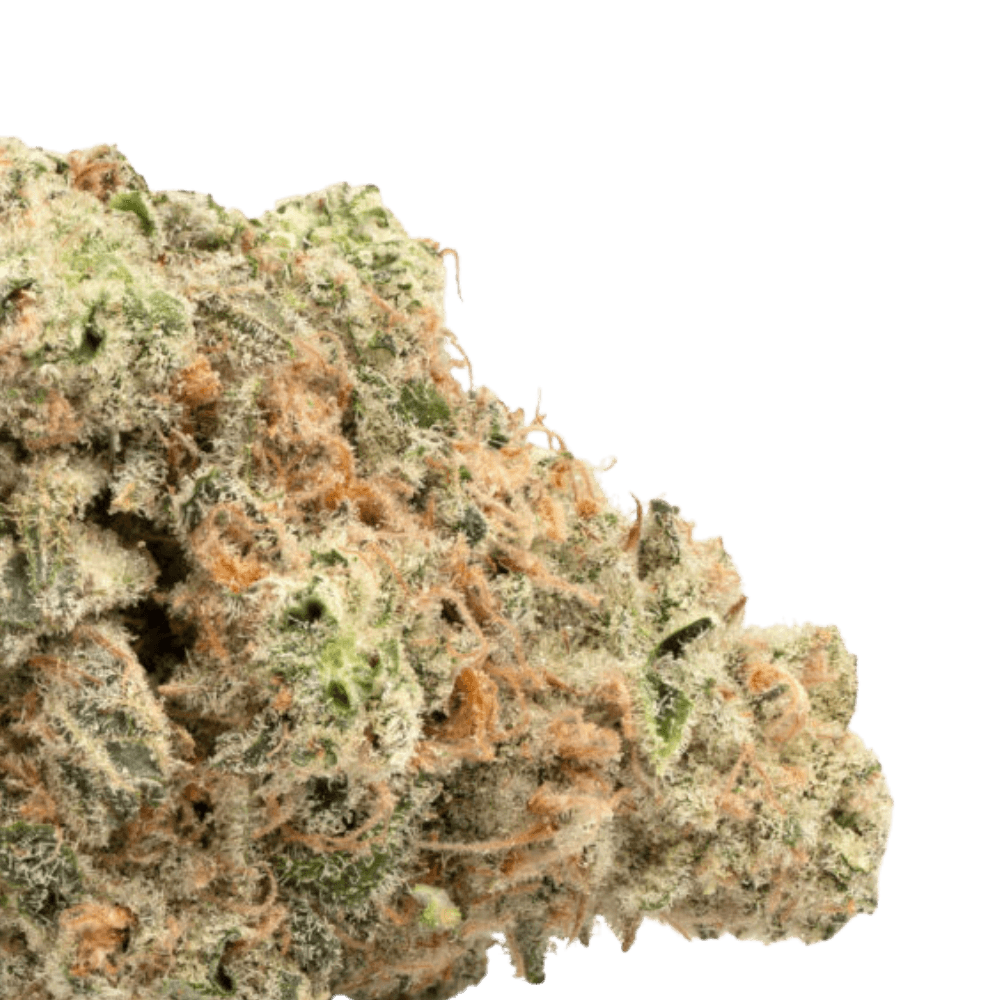 MAC1