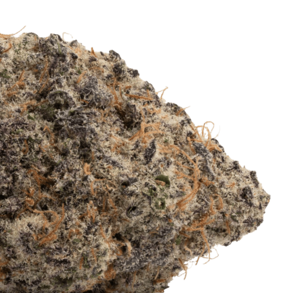Slurricane