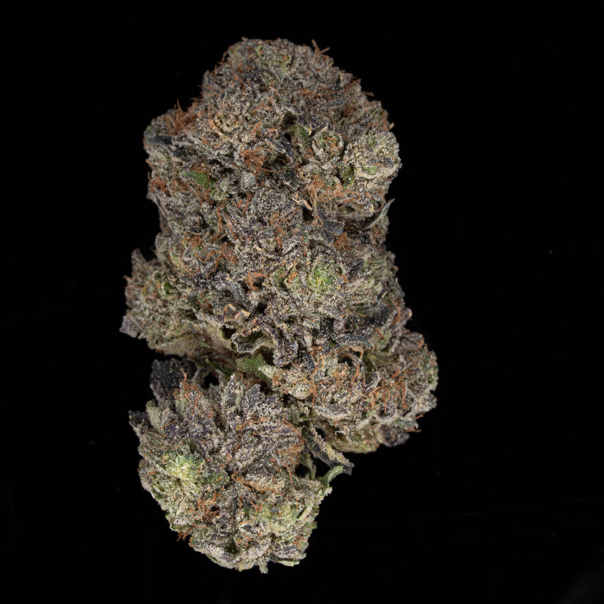 zombie kush dank weed