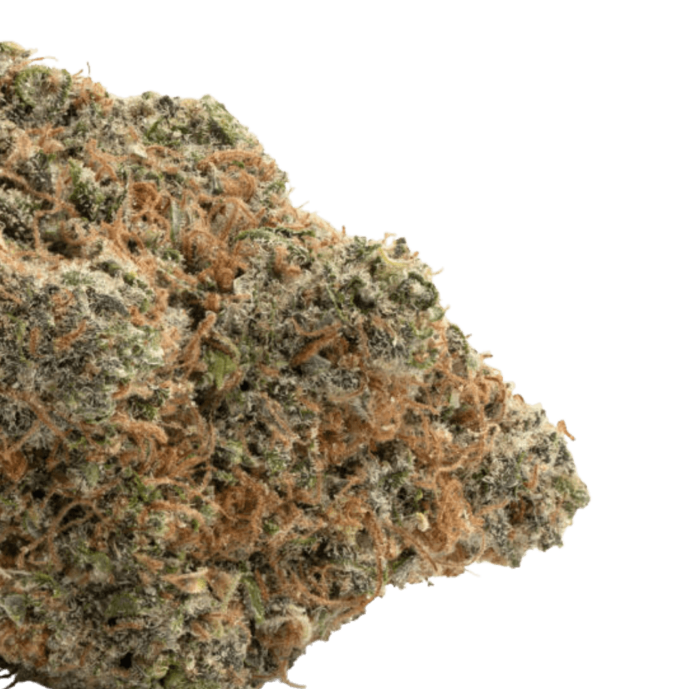 buy king louis online