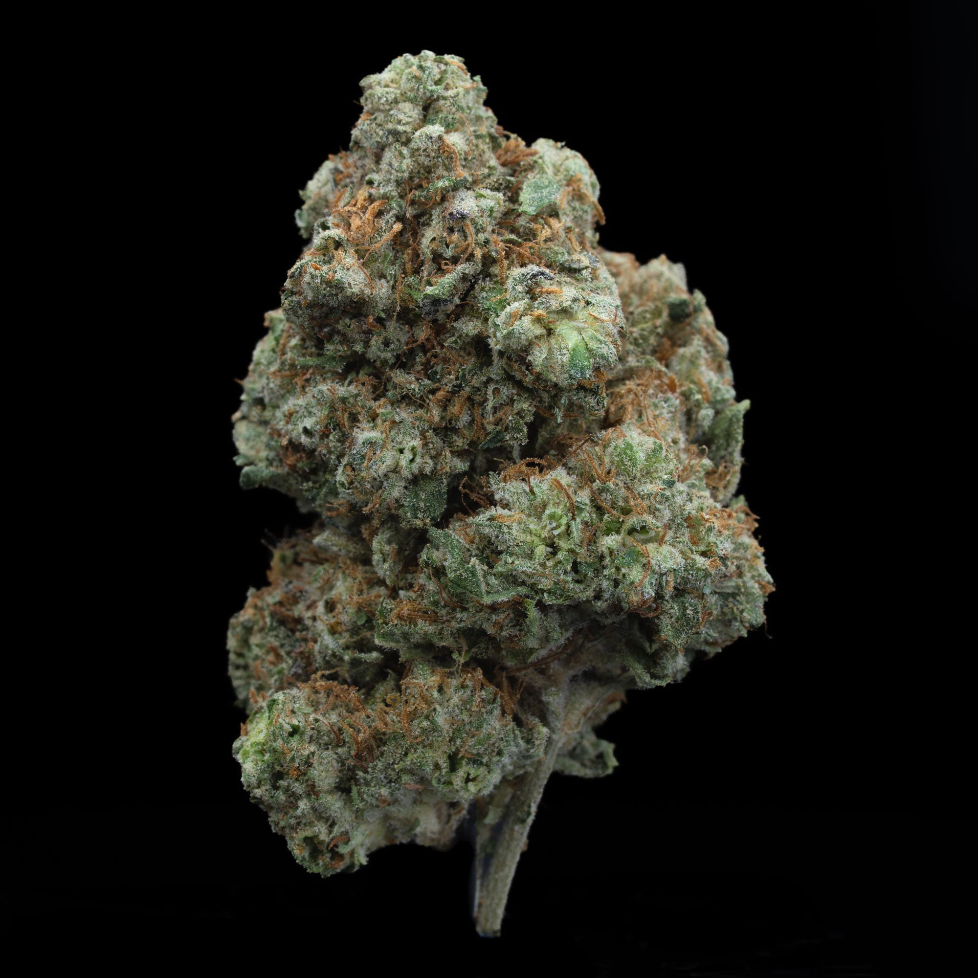og kush dank weed buy online